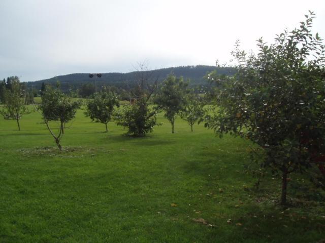 Abyggeby Landsbygdscenter Ockelbo Exterior foto